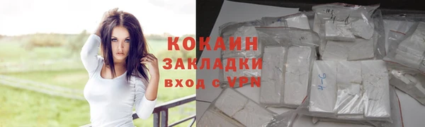 молекула духа Тайга