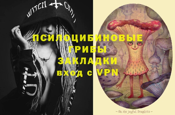 ГАЛЛЮЦИНОГЕННЫЕ ГРИБЫ Белокуриха